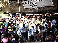 Festa 