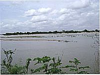 Rio Parna�ba-Foto:Alex Carniel 