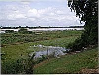 Rio Parna�ba-Foto:Alex Carniel 