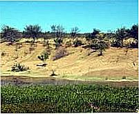 Paisagem-Foto:suldopiaui
