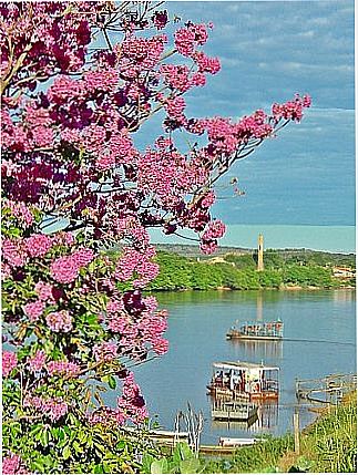 cidade de Floriano