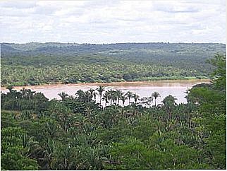 cidade de Palmeirais