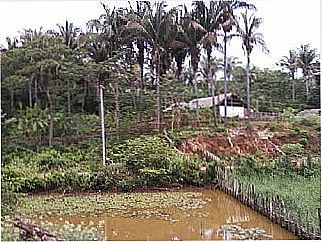 cidade de S�o Jo�o do Arraial