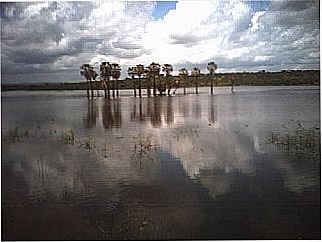 cidade de S�o Juli�o