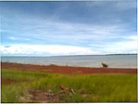  Por saldade