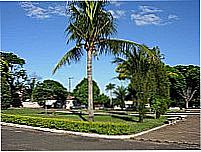 Coqueiros