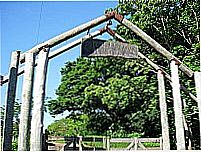 Portal