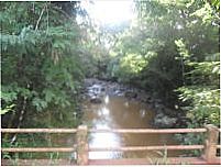 Rio Quinzinho-Foto:edivan e edimar matielo