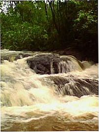 Cachoeira, Por Luciana Abreu