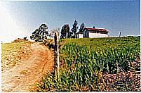 Antonio Olinto foto
Moacyr Medeiros Alves