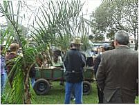 Festa Colono 2010, Por jab�
