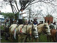 Festa Colono 2010, Por jab�