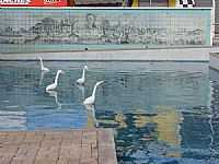 Euclides da Cunha - Praça Duque de Caxias em Euclides da Cunha-BA-Foto:Carlos Amorim Divulg…