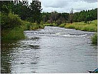 Rio das Perdizes
