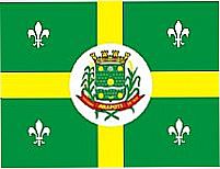 Bandeira da cidade