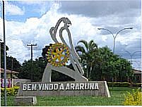 Araruna foto por William Fialho