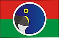 Bandeira da cidade 