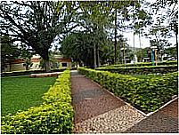 Pra�a central-Foto:William Fialho