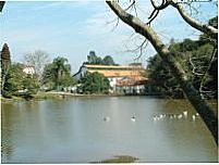 Arauc�ria-Pr, Por MohanDas