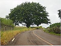 Entrada da cidade-Foto:pelupe