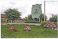 Pra�a Manoel Lopes da Silva-Campo Grande-Foto:Multic�pios Brasil
