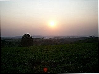 cidade de Bairro do Felisberto