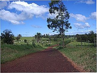 cidade de Bela Vista do Piquiri