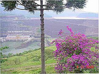 cidade de Bituruna