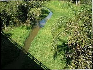 cidade de Cintra Pimentel