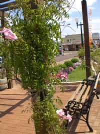 Corbélia - Praça dos Pioneiros, Por Zenilda