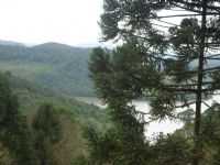 Cruz Machado - VISTA PARA A REPRESA DO FOZ DO AREIA, Por TERA ZIPPERER