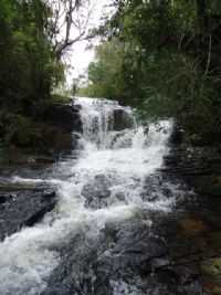 Cruz Machado - CACHOEIRA NA LINHA PARANÁ, Por TERA ZIPPERER
