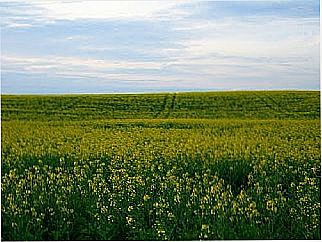 cidade de Entre Rios