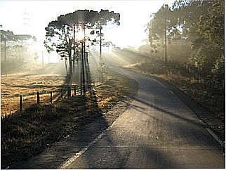cidade de Guaira��