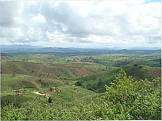 cidade de Gurup� Mirim
