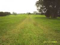Ibiporã - Fazenda do Estado em Ibipora, Por Agtnaldon