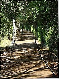 Pista de cooper no Termas de Jurema em Iretama-Foto:_Fabio Oliveira_