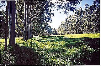 cidade de Ivaitinga