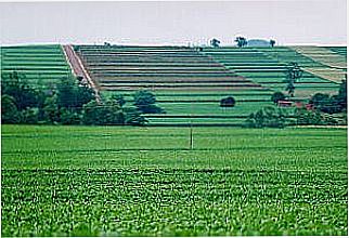 cidade de Ivatuba