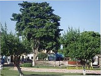 cidade de Ibiapora