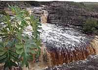 Ibicoara - Cachoeira das Orquídeas em Ibicoara-Foto:João Alves da Silva