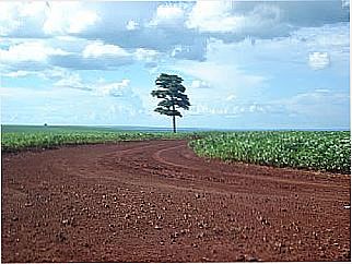 cidade de Malu