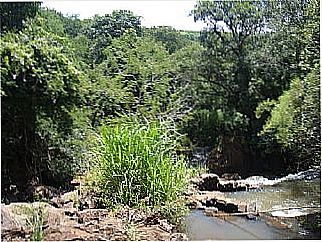 cidade de Nova Lourdes