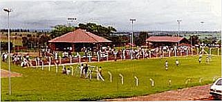cidade de Nova Ol�mpia