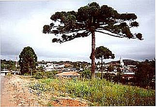 cidade de Pi�n