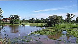 cidade de Pinheiro