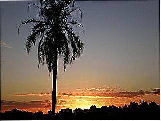 cidade de Santa Eliza