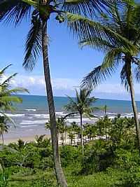 Ilhéus - Vista da praia entre coqueiros em Ilhéus-BA-Foto:Beatriz Barreto Tane…