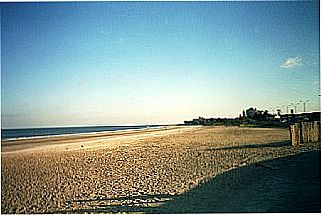 cidade de Carrasco