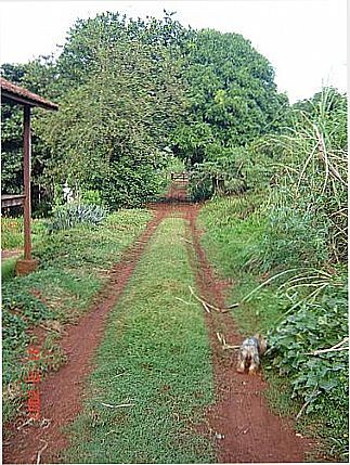 cidade de Santo Ant�nio do Palmital